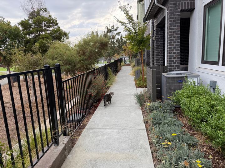 28 fifth Palo Alto plan 3