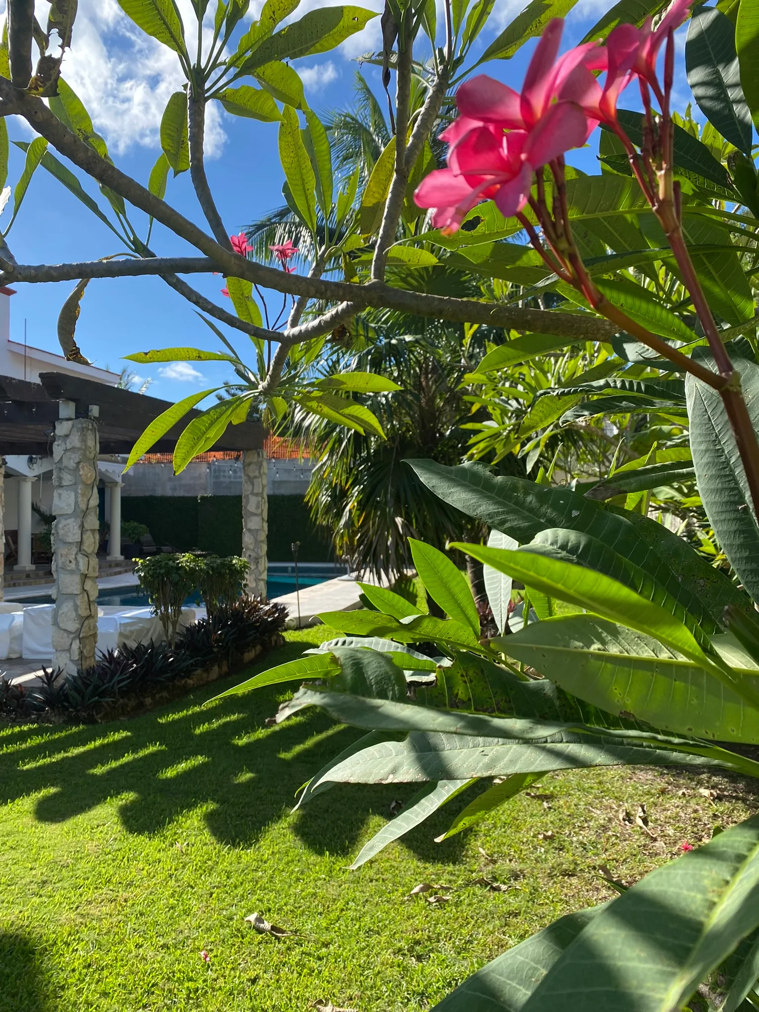 Terraza y piscina de Yurinn 4