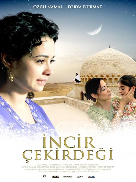 İNCİR ÇEKİRDEĞİ