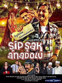 ŞİPŞAK ANADOLU
