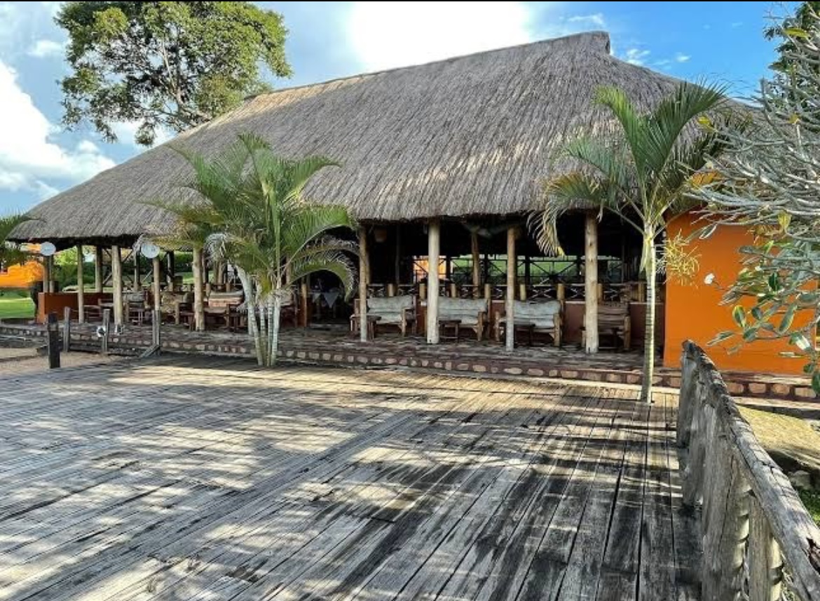 Chimpanzee forest lodge 