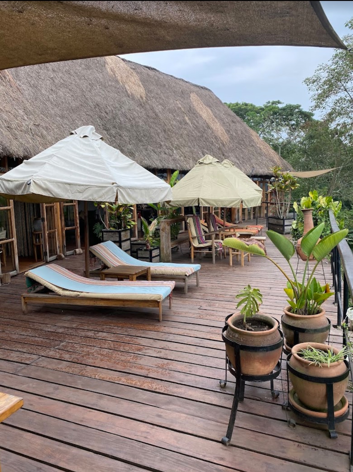 Papaya lake lodge