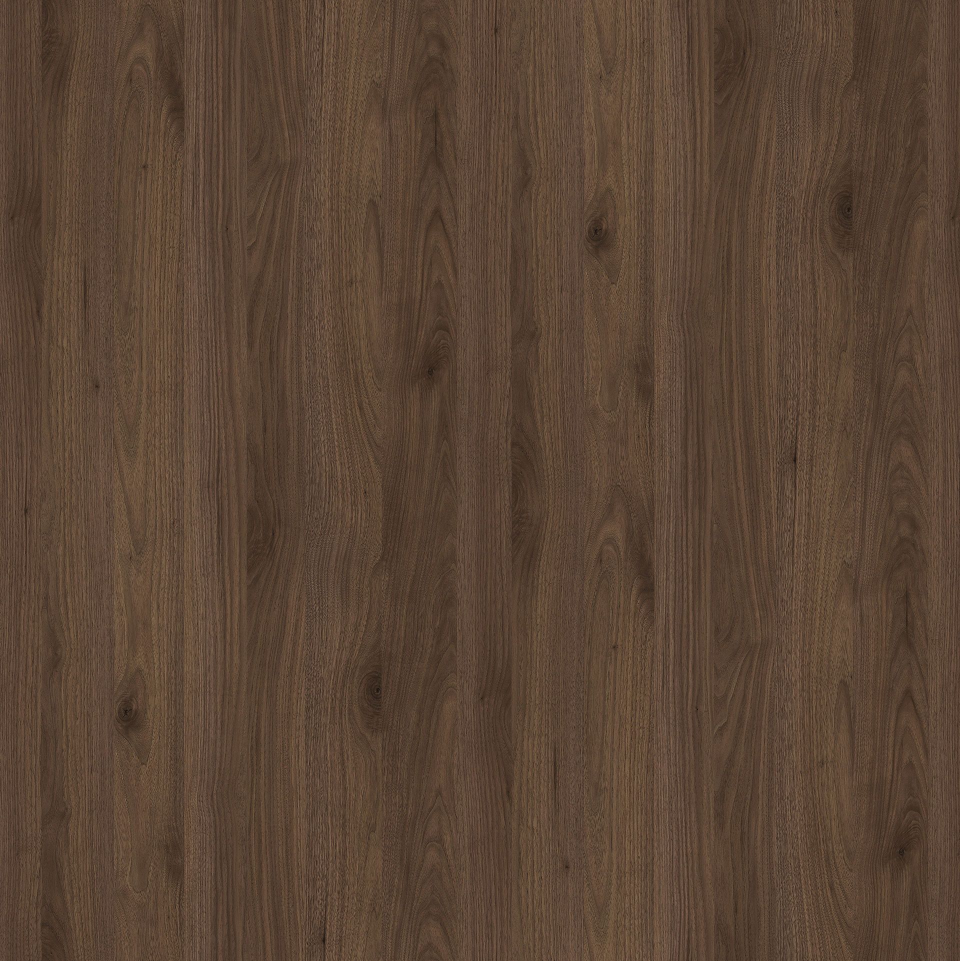Sample Okapi Walnut