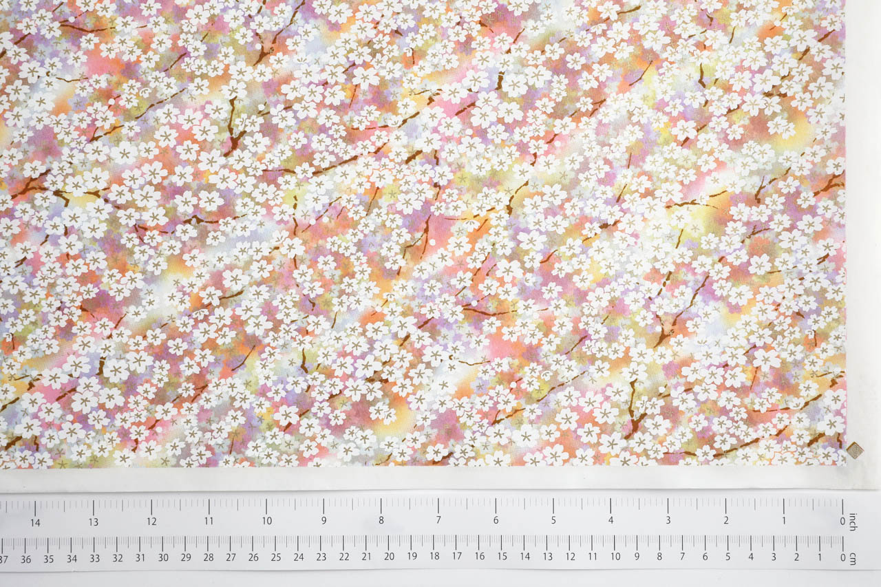6331 Cherry