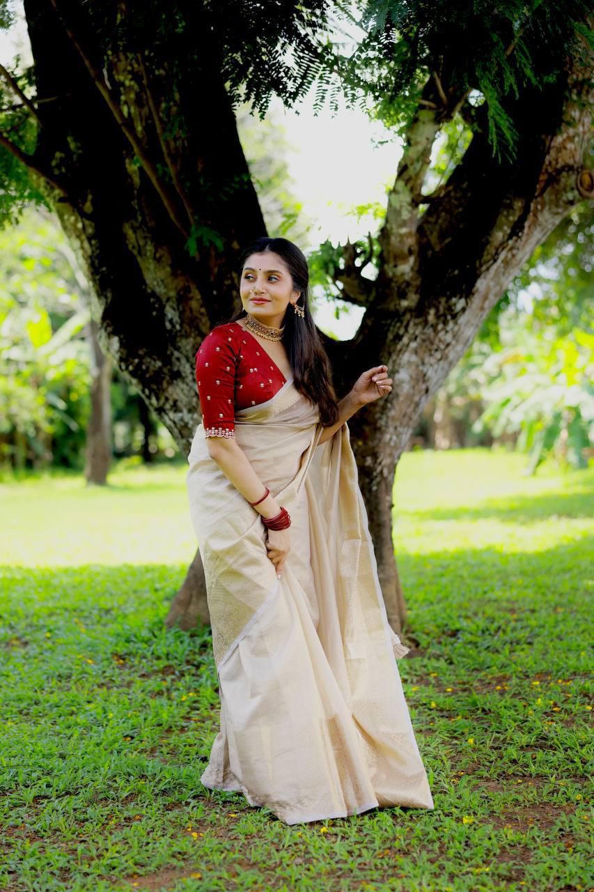 Pure Tissue Banarasi Crush Saree