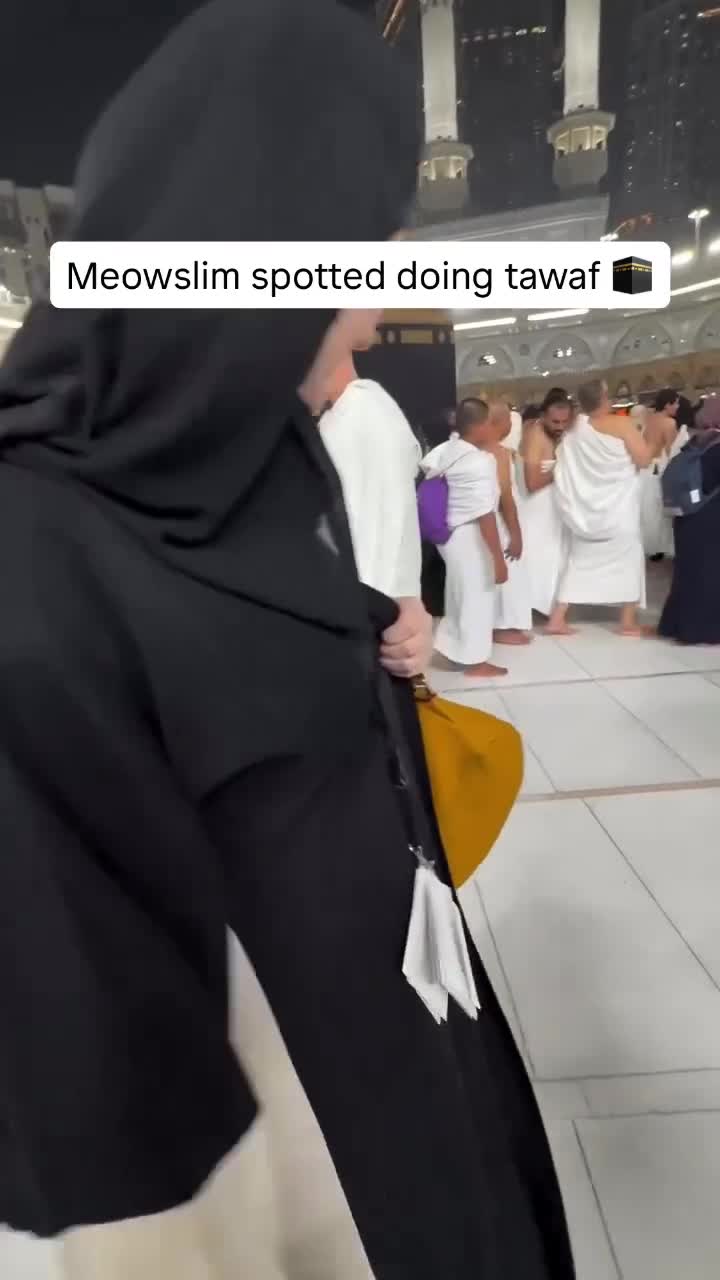 Meowslim's Tawaf Journey