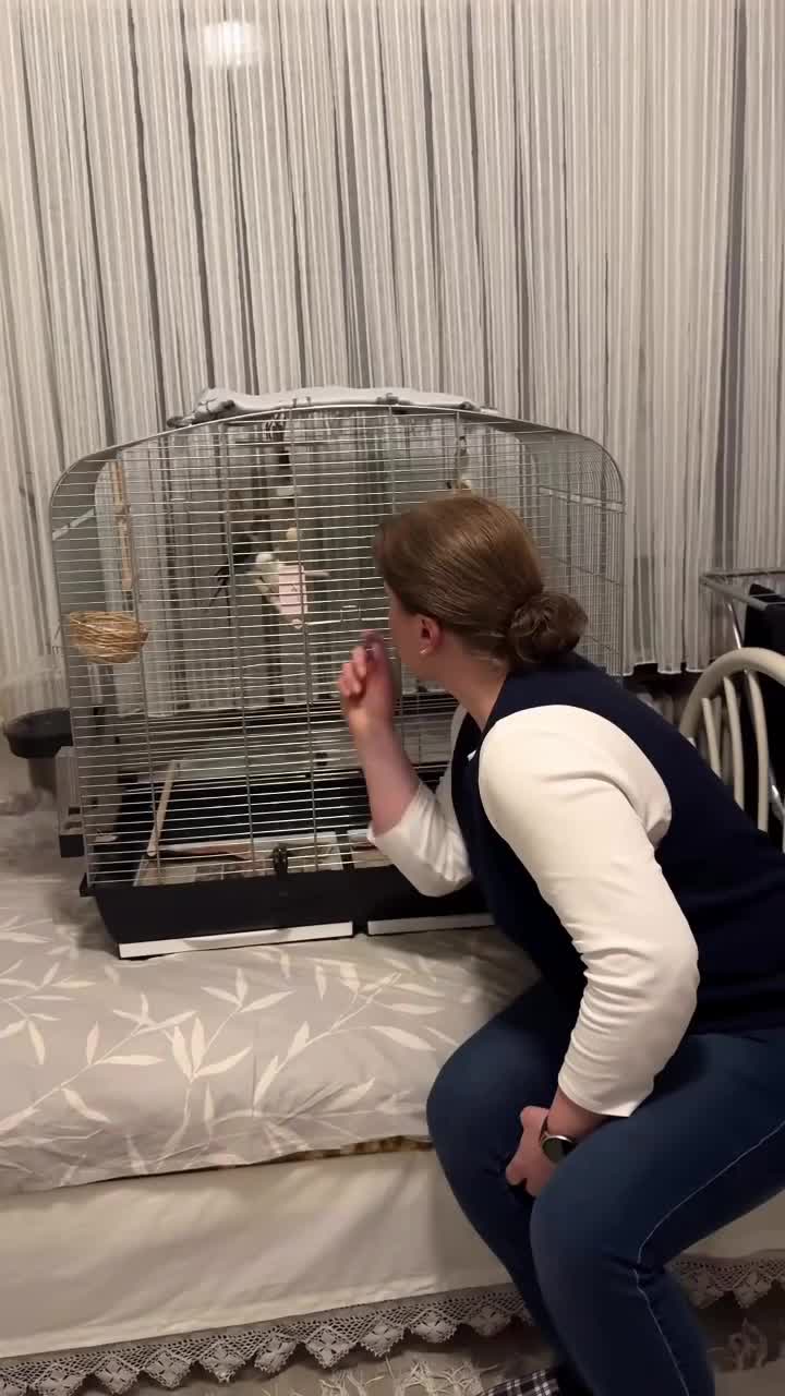 Family Dinner: Anchovies & Love