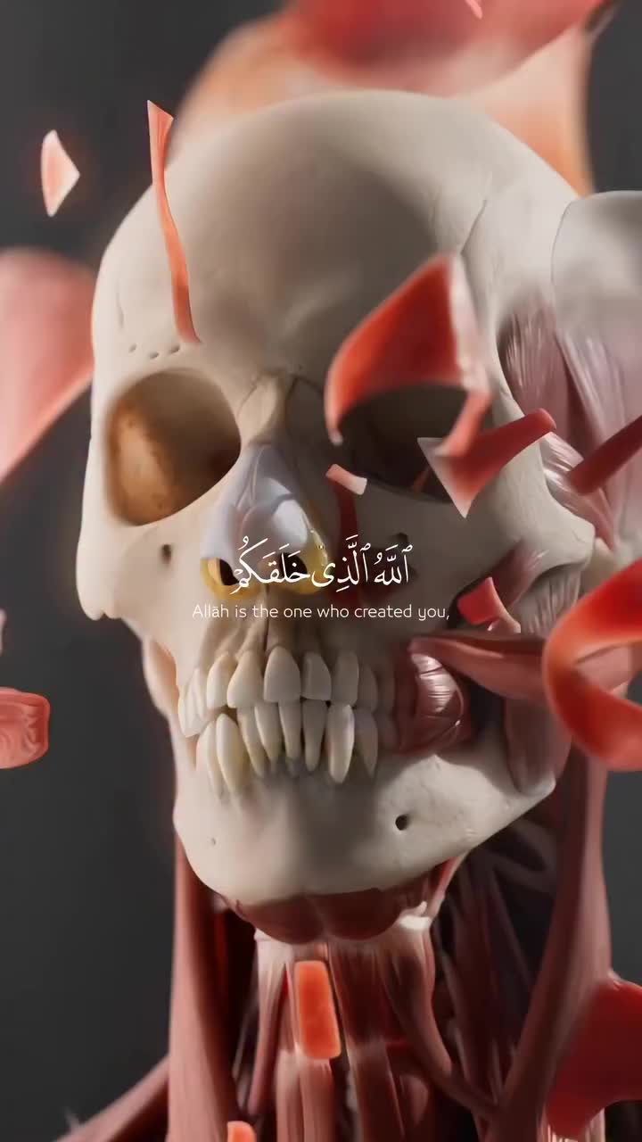 Allah's Power: Creation to Return