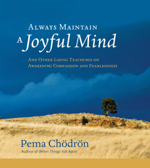 Cover for Always Maintain a Joyful Mind