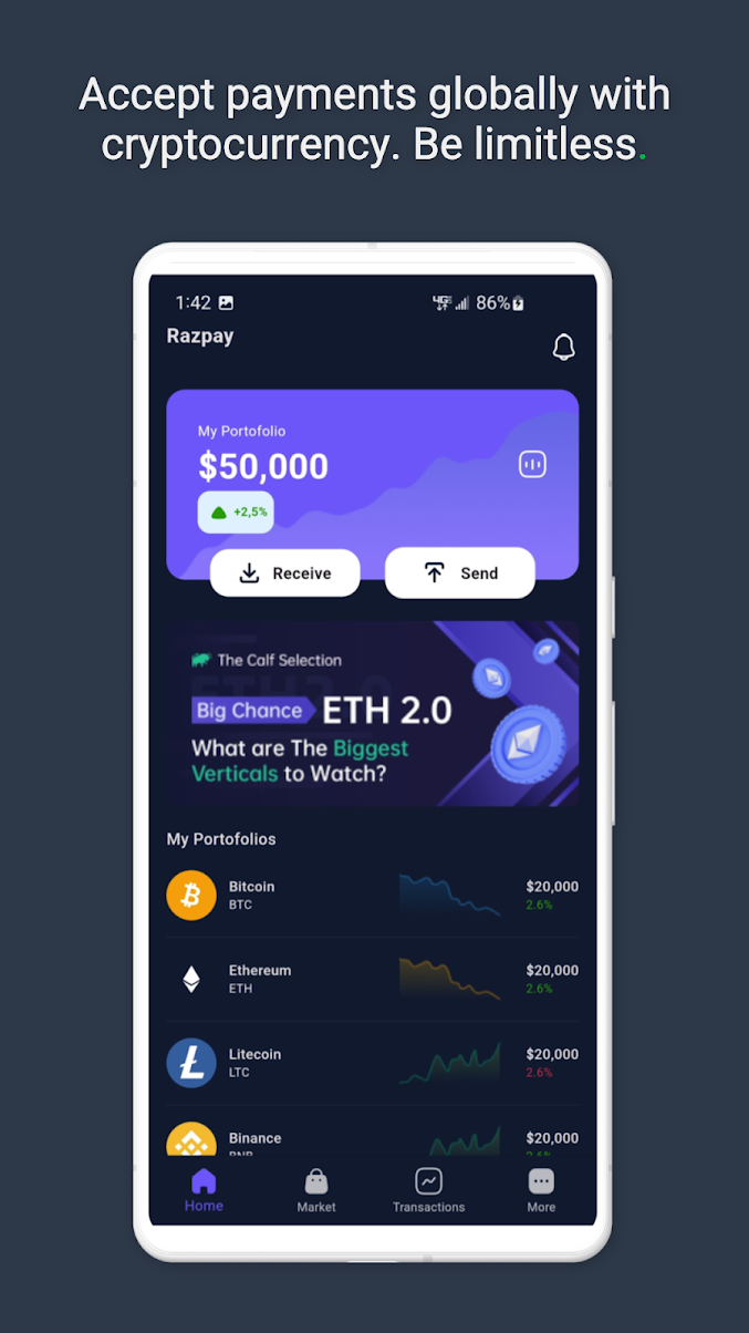 Razpay Digital Wallet Android screenshot 1