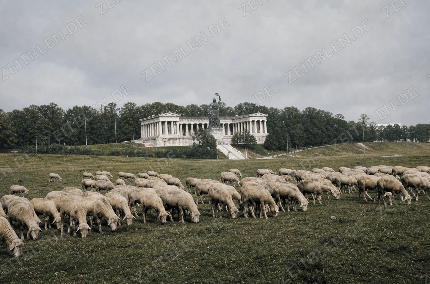 Schafherde vor Bavaria und Ruhmeshalle