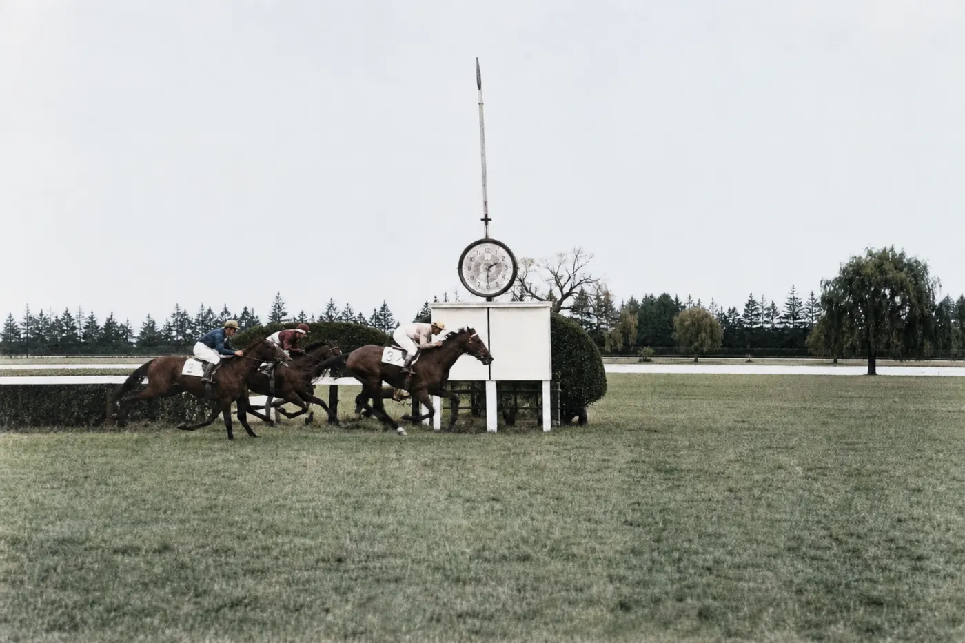 Galopprennen an der Zieluhr in Riem