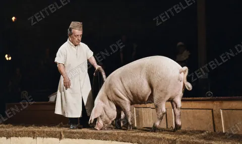 Tierdressur im Circus Krone, Augustprogramm 1948