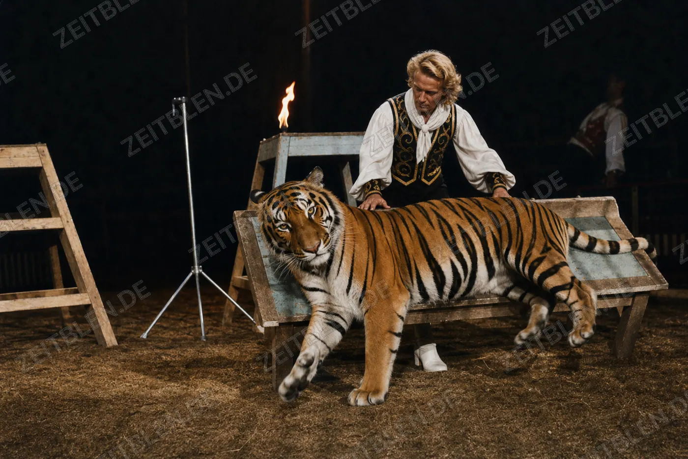 Tiger-Dressur im Circus Krone, Juliprogramm