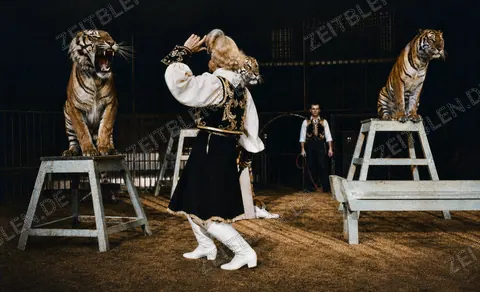 Tiger auf Podesten im Circus Krone, Juliprogramm 1948