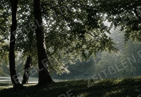 Lichtstimmung im Englischen Garten