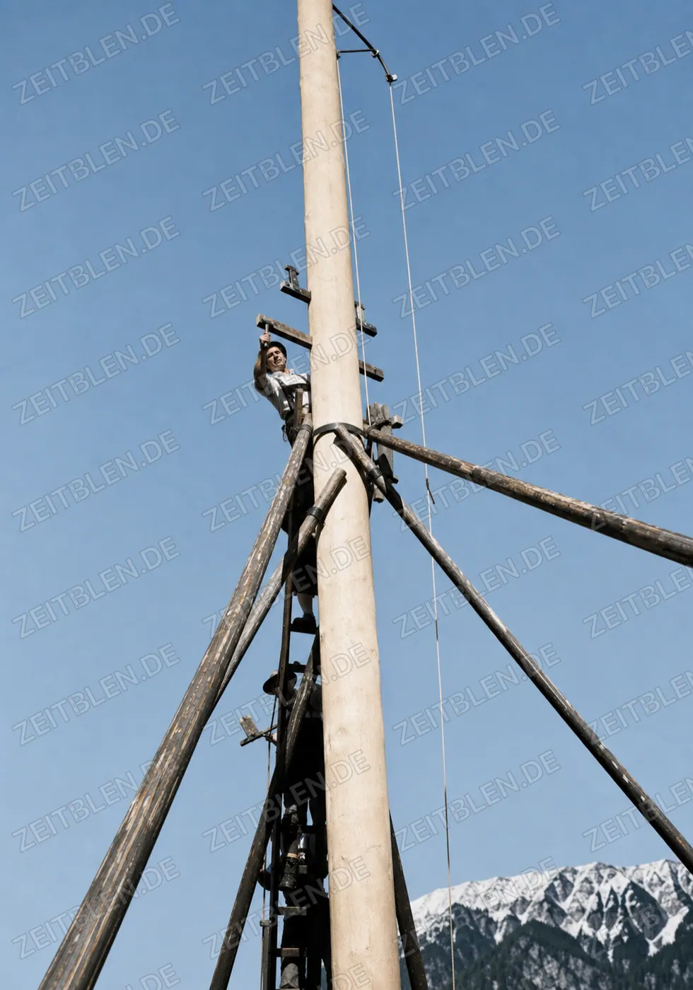 Aufgerichteter Maibaum mit Stützstangen in Farchant