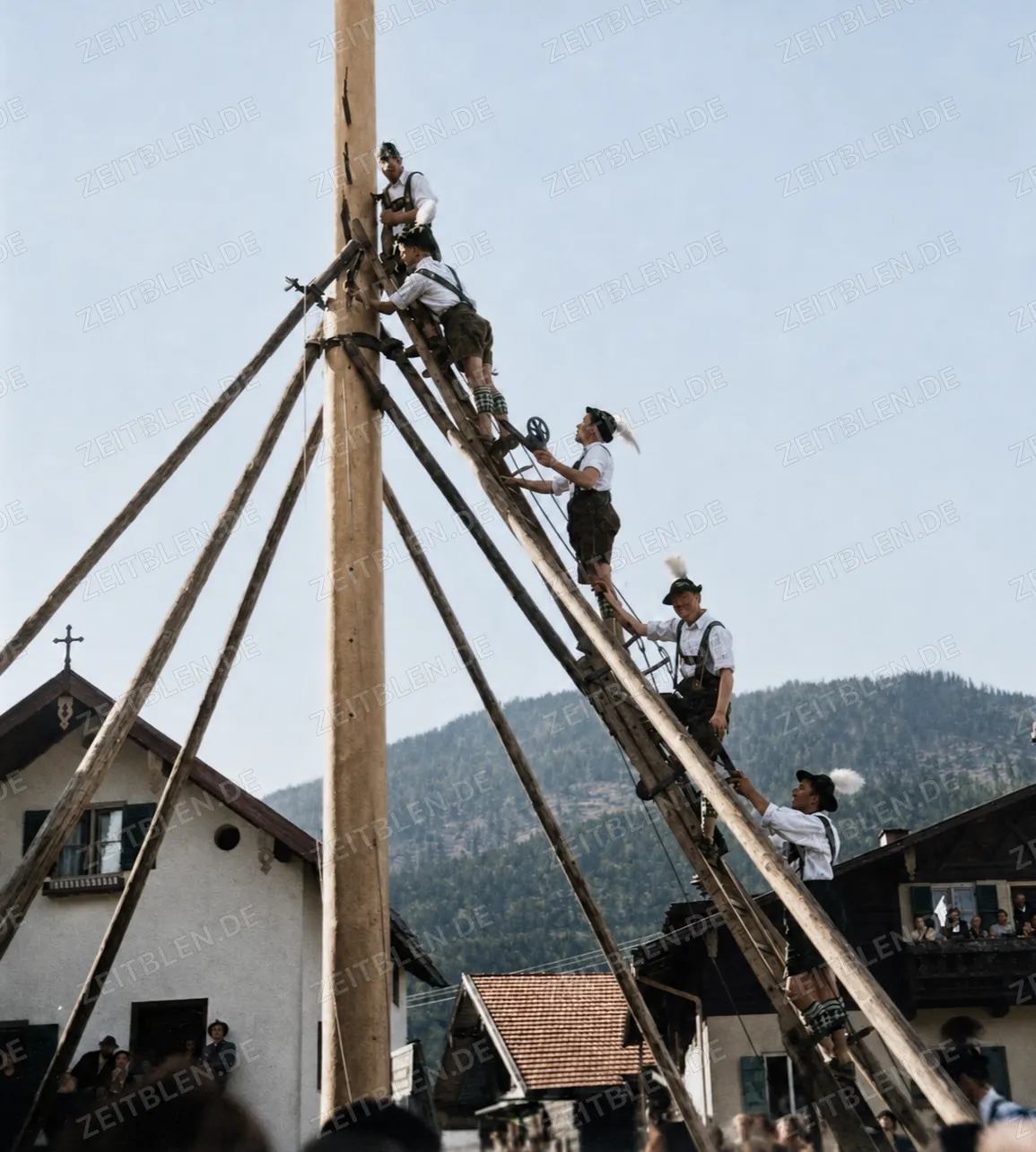 Männer richten den Maibaum in Farchant auf