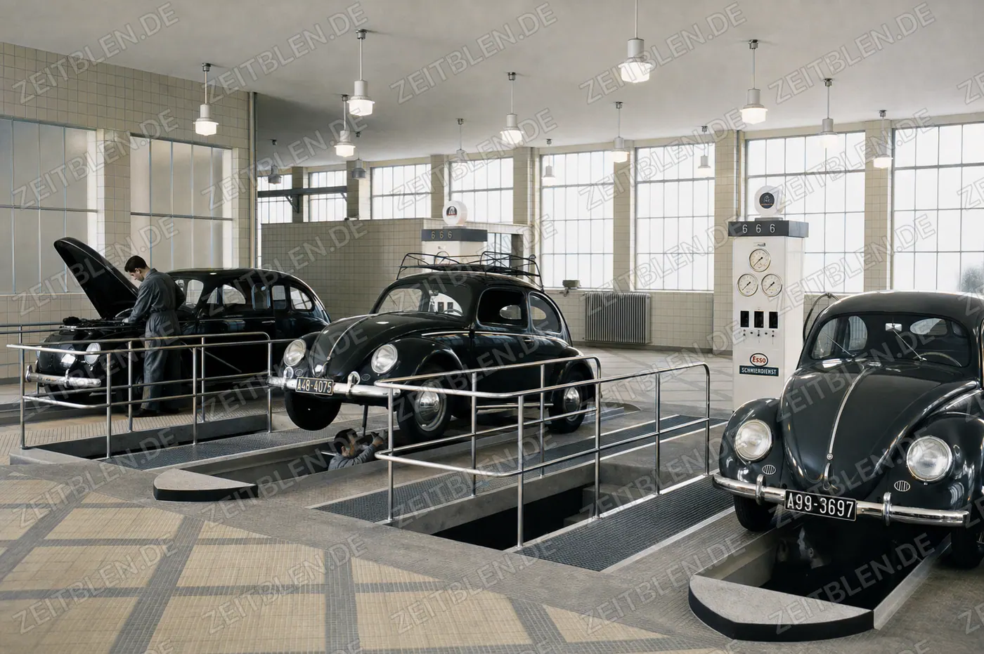 Mehrere Fahrzeuge im MAHAG-Verkaufsraum