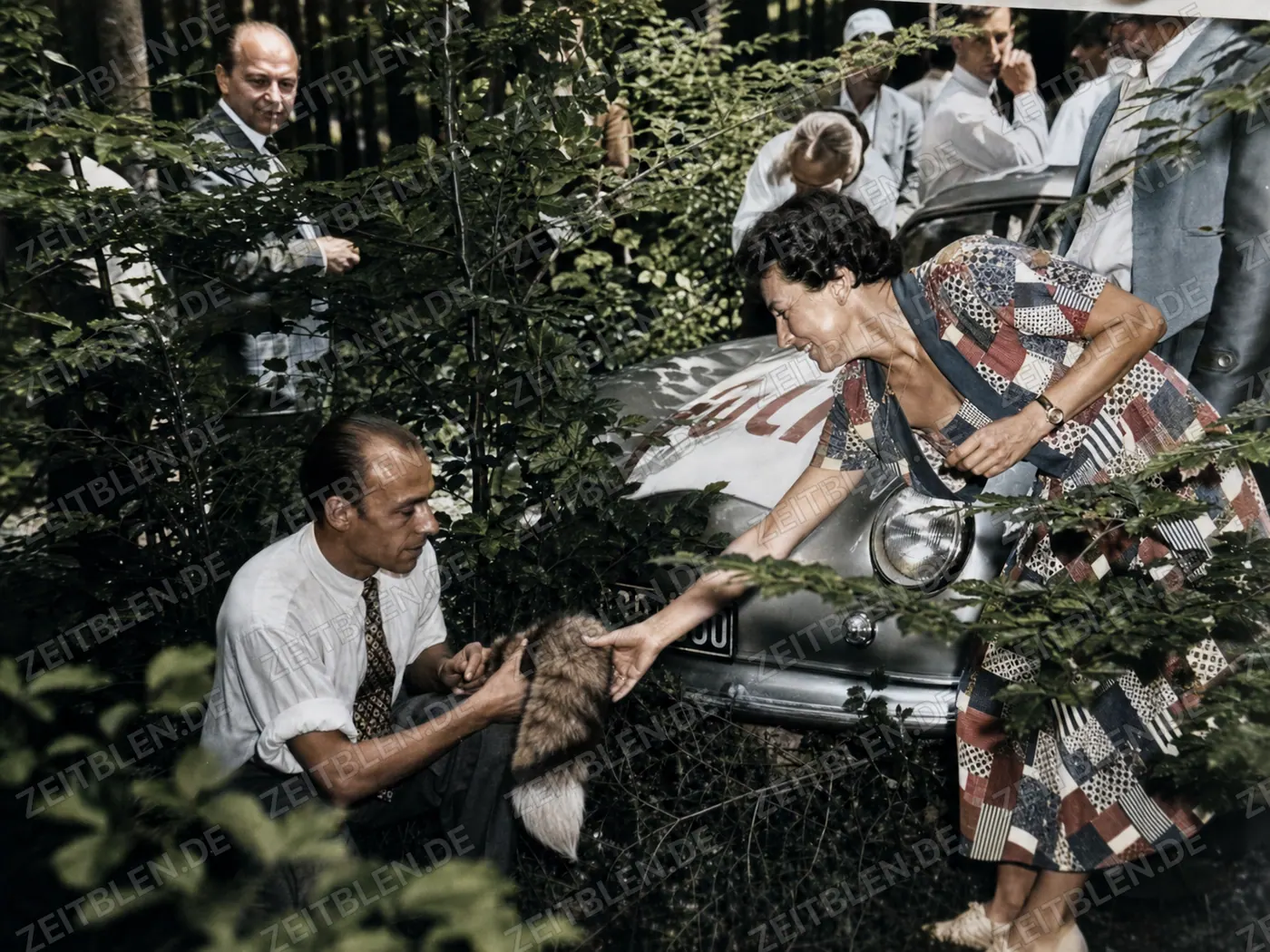 Fuchs-Requisite am Porsche bei der Münchner Fuchsjagd