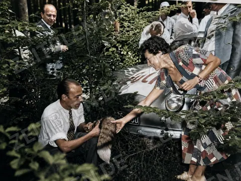 Fuchs-Requisite am Porsche bei der Münchner Fuchsjagd
