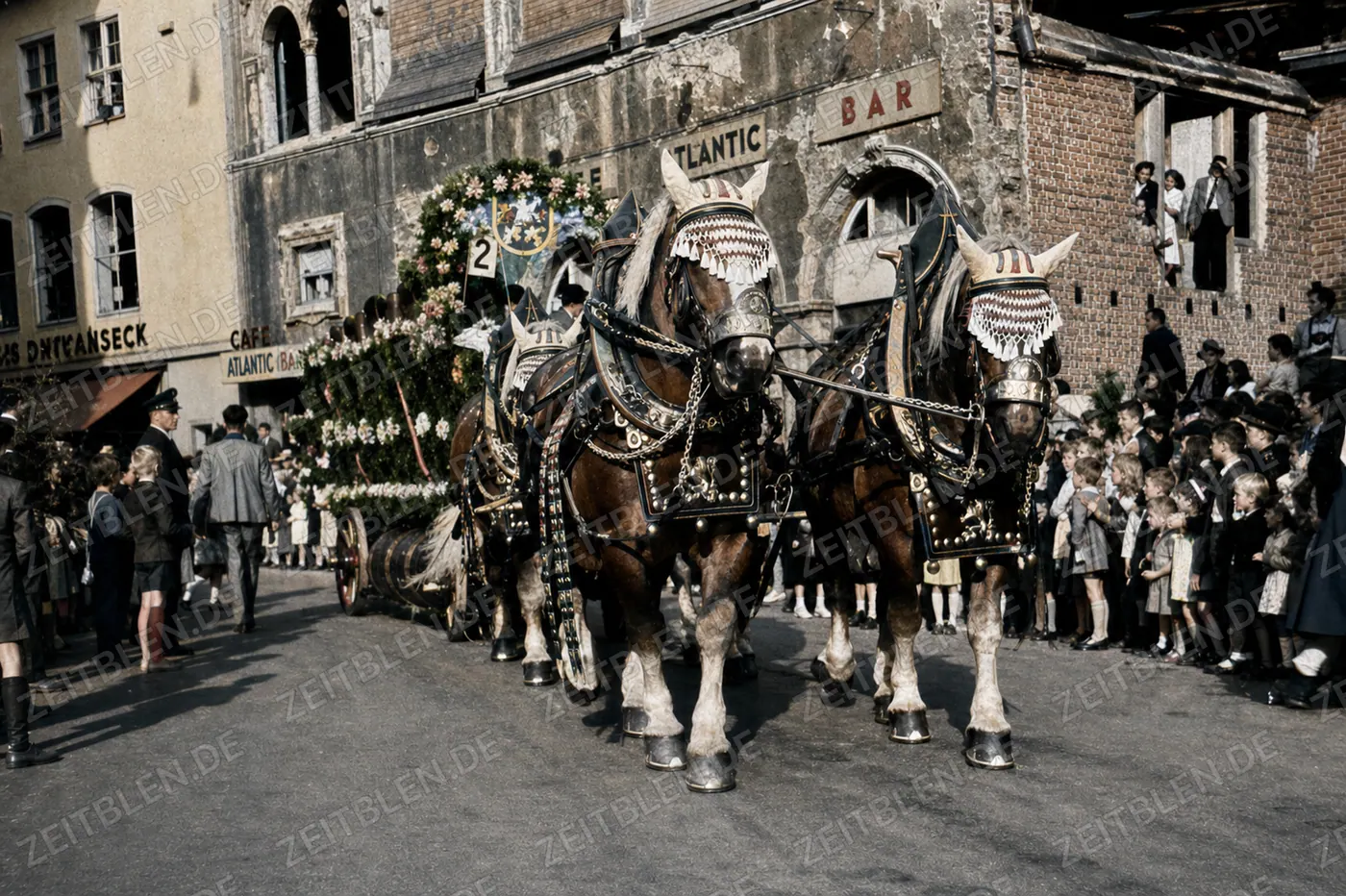 Pferdegespann mit Blumenwagen beim Münchner Blumenkorso 1949