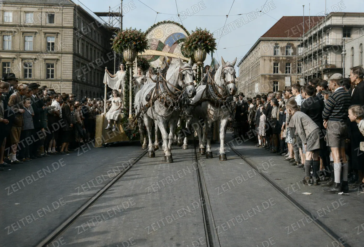 Pferdegespann mit Blumenwagen auf Münchner Tramgleisen
