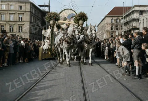 Pferdegespann mit Blumenwagen auf Münchner Tramgleisen