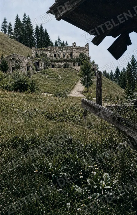 Blick durch Vegetation auf die Berghof-Ruinen