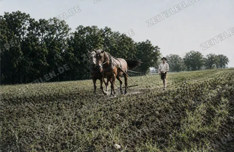 Bauern bei der Feldarbeit mit Pferdegespann