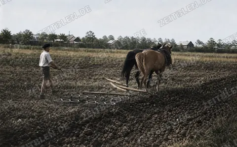 Eggen mit Pferdegespann auf einem Feld