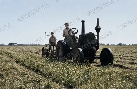 Traktor bei der Feldarbeit, 27. August 1949