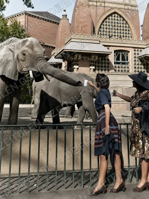 Elefantenfuetterung im Berliner Zoo