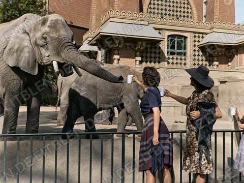 Besucherinnen fuettern Elefanten im Berliner Zoo