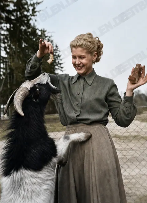 Fütterung einer Ziege im Tierpark Hellabrunn