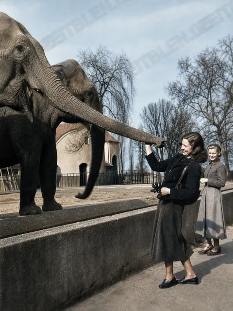 Besucherinnen am Elefantengehege im Tierpark Hellabrunn
