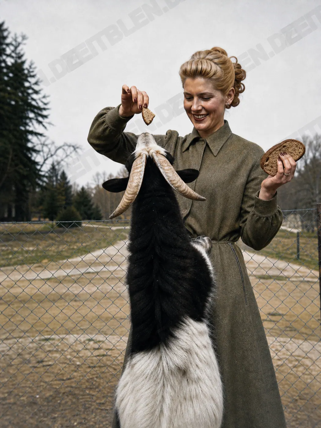 Ziegenfütterung im Tierpark Hellabrunn