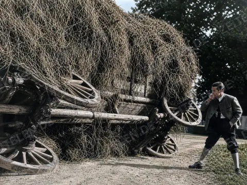 Lodenfrey-Aufnahme mit Heuwagen in gekippter Perspektive