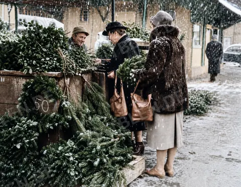 Schneebedeckter Grünwarenstand am Viktualienmarkt, 1956