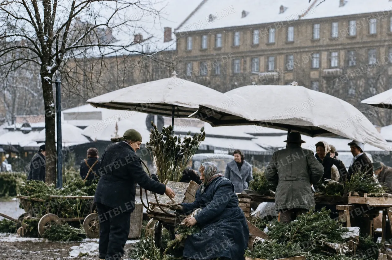 Handkarren und Marktstände im Schnee, Viktualienmarkt 1956