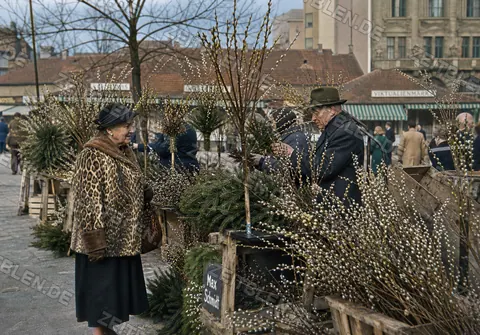 Palmkätzchenverkauf am Münchner Viktualienmarkt, Frühjahr 1956