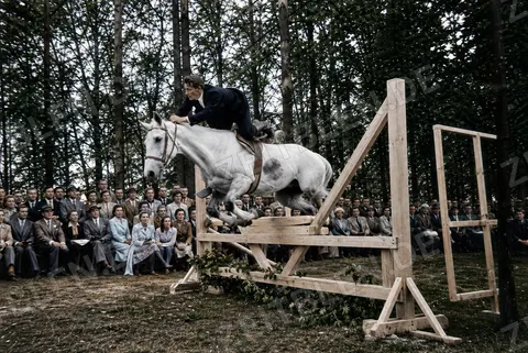 Springreiter über Hindernis vor Publikum, 1954
