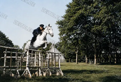 Springreiter auf hellem Pferd über Naturhindernis, 1954