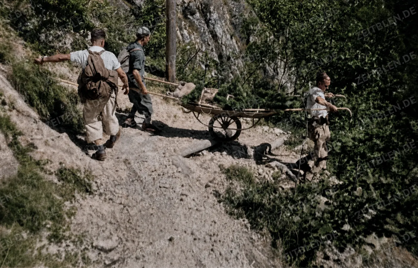 Bergwacht-Transportübung am Hang, 1953