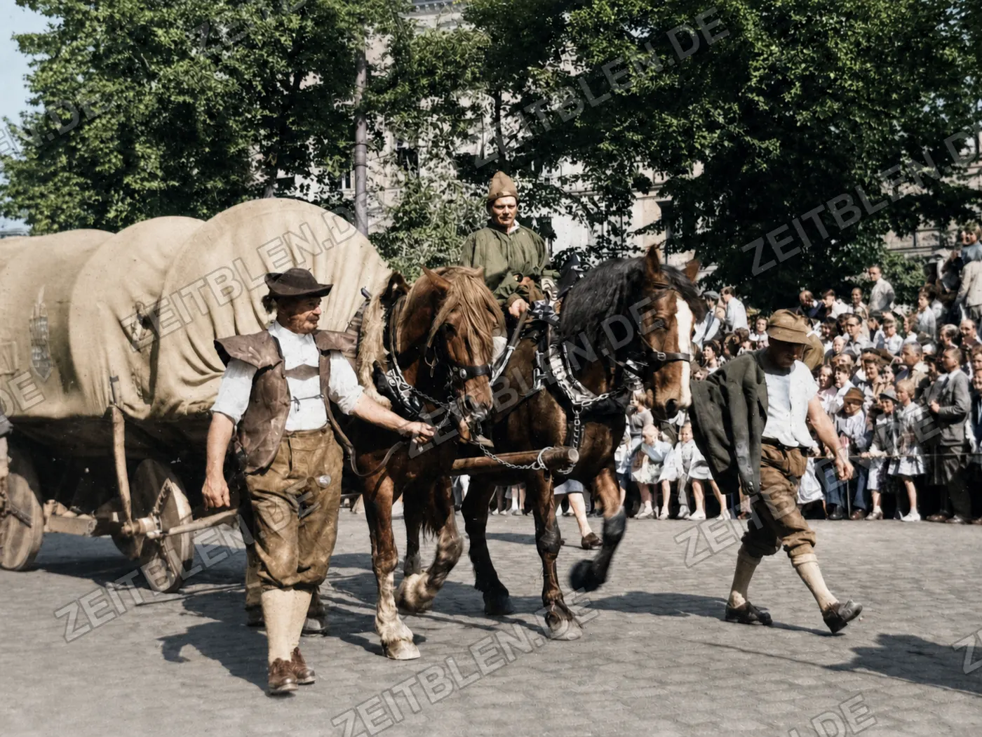 Pferdegespann mit Planwagen beim Münchner Verkehrsfestzug, 1958