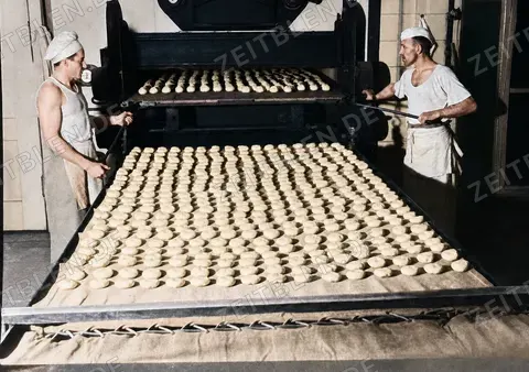 Zwieback auf Backblechen bei Leutner, München 1949