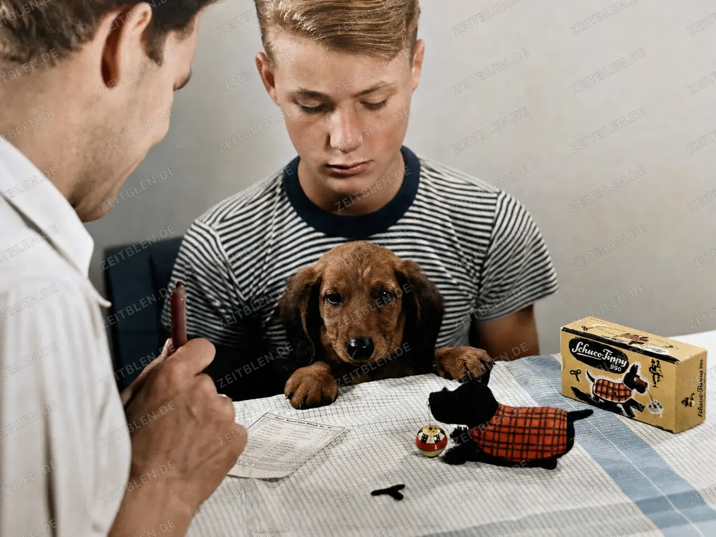 Schuco-Timmy-Spielzeughund bei Produktaufnahme, Juli 1952