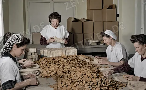 Kekse werden in der Bäckerei verpackt