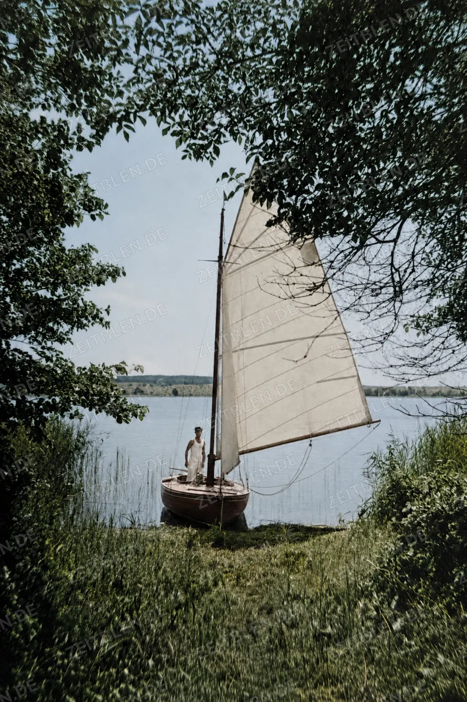 Segelboot am bewachsenen Ufer