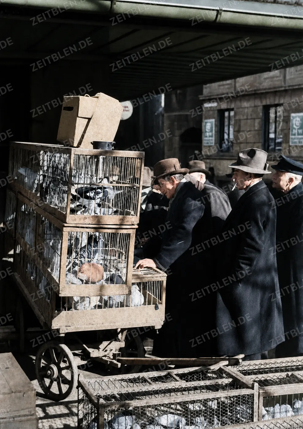Taubenkäfige auf einem Handwagen am Viktualienmarkt